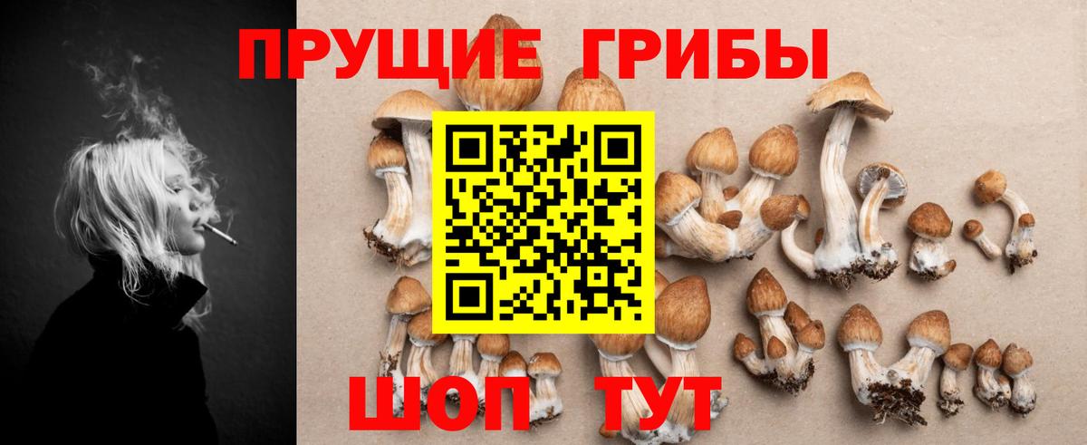 Галлюциногенные грибы ЛСД Валуйки