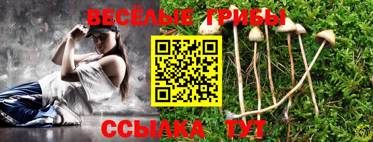 Галлюциногенные грибы Magic Shrooms  Вход с VPN  Валуйки  Галлюциногенные грибы ЛСД 